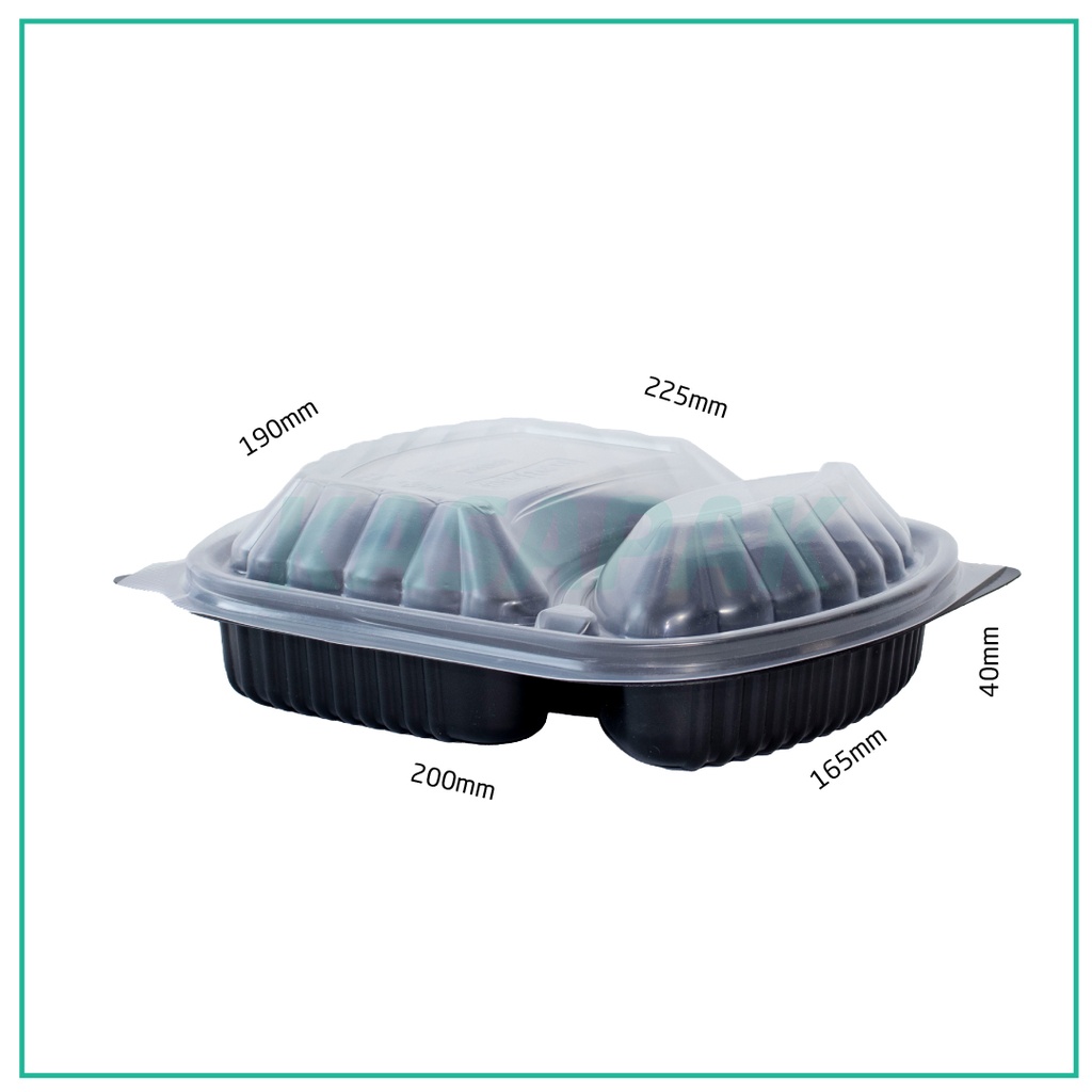 PP Plastic 2 Sections Rectangular Box 250/ctn