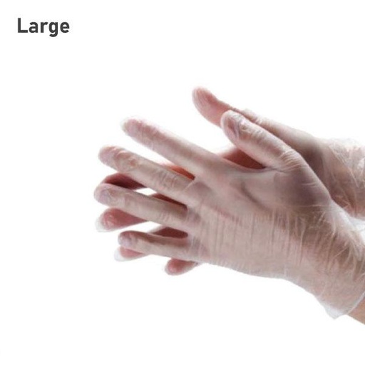 [003004] Large Clear Vinyl Gloves 1000/ctn